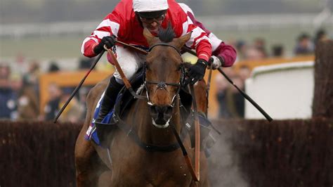 cheltenham 2016